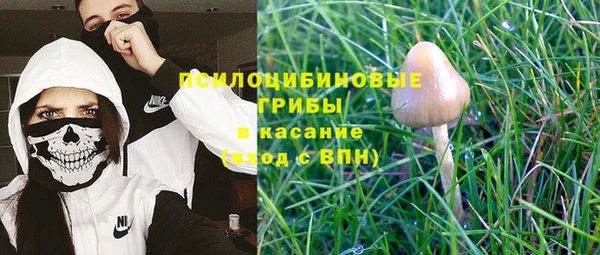 гашик Новозыбков