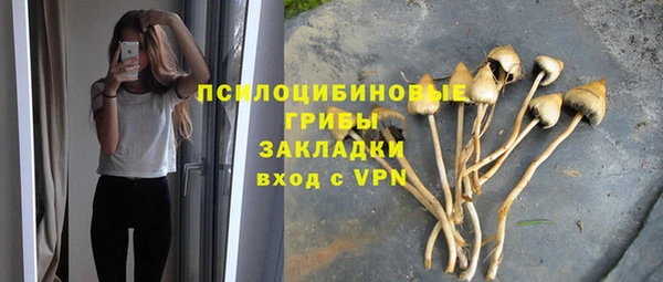 прущие крисы Алзамай