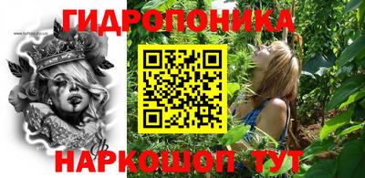 соль ск Кулебаки